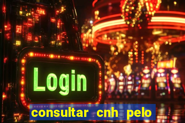 consultar cnh pelo cpf sp