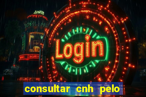 consultar cnh pelo cpf sp