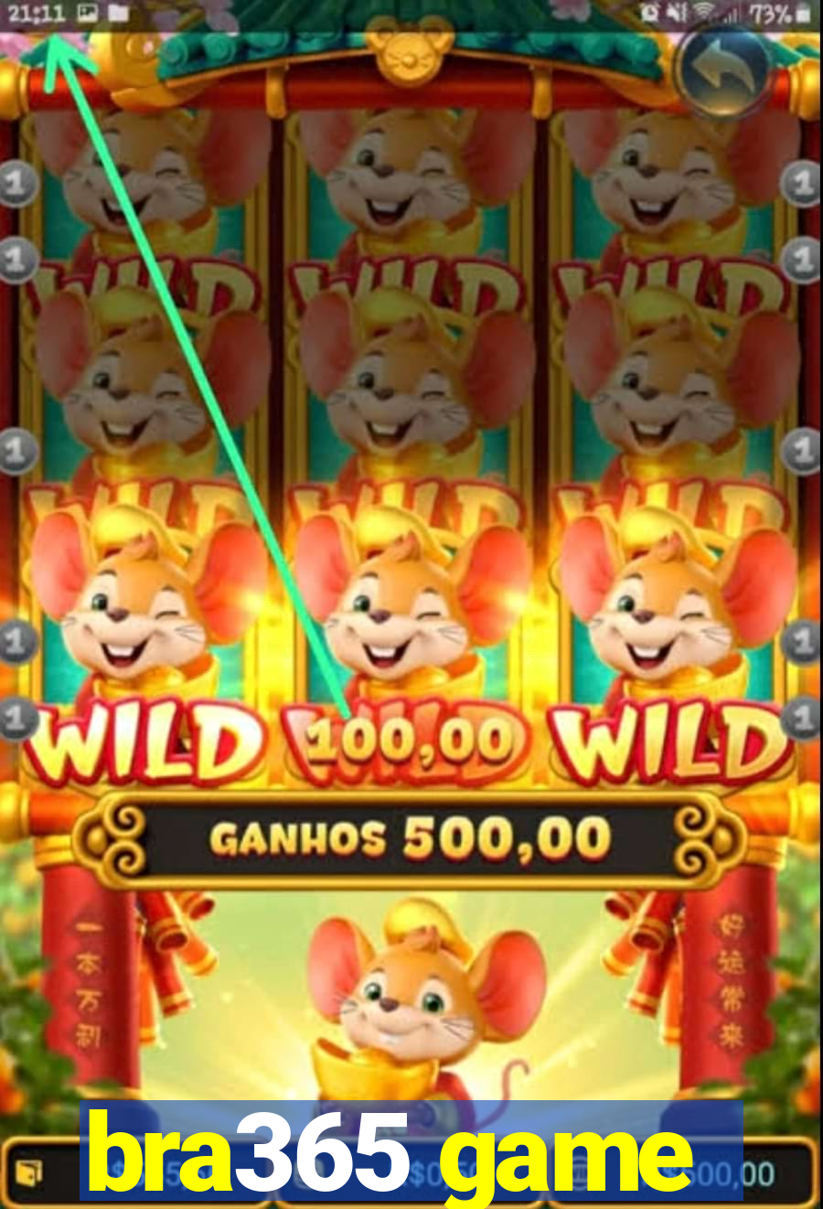 bra365 game