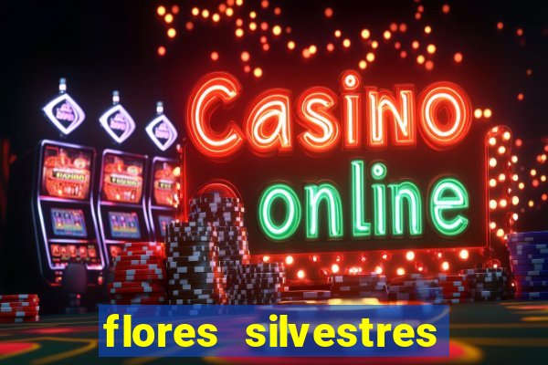 flores silvestres desbravadores desbravadores 25 flores silvestres e seus nomes