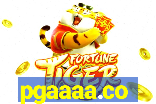 pgaaaa.co