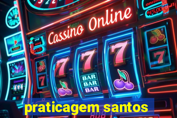 praticagem santos