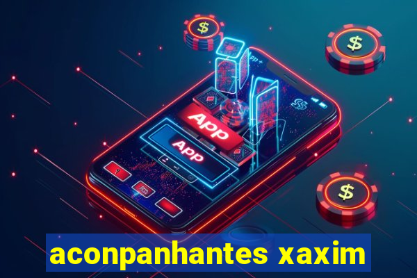 aconpanhantes xaxim
