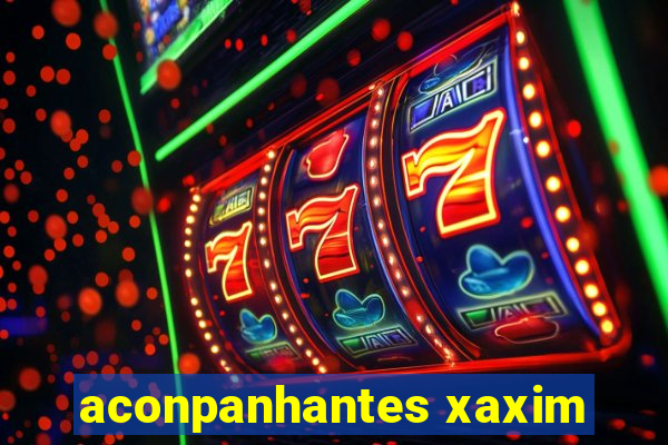 aconpanhantes xaxim