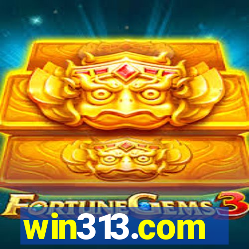 win313.com