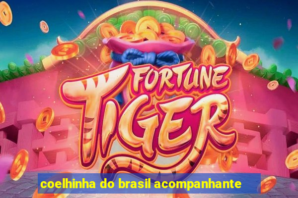 coelhinha do brasil acompanhante