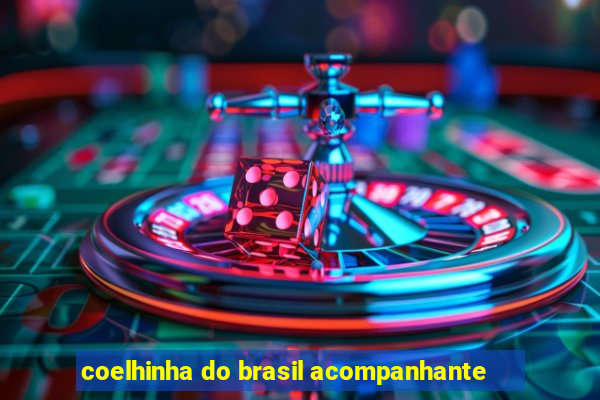 coelhinha do brasil acompanhante