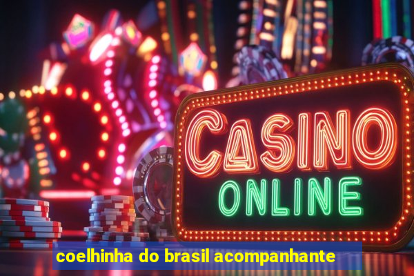coelhinha do brasil acompanhante
