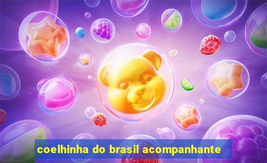 coelhinha do brasil acompanhante