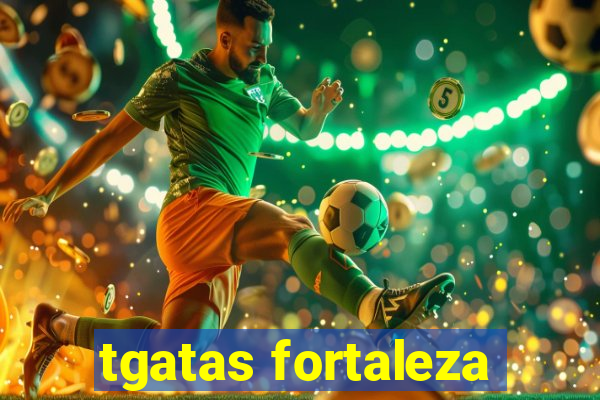 tgatas fortaleza