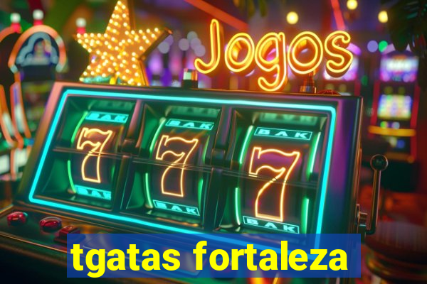 tgatas fortaleza