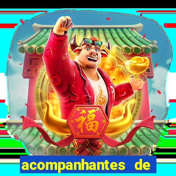 acompanhantes de feira de santana