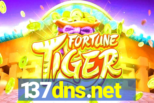 137dns.net