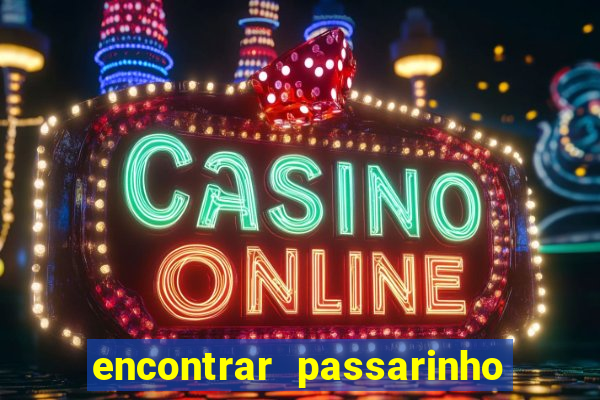 encontrar passarinho morto significado