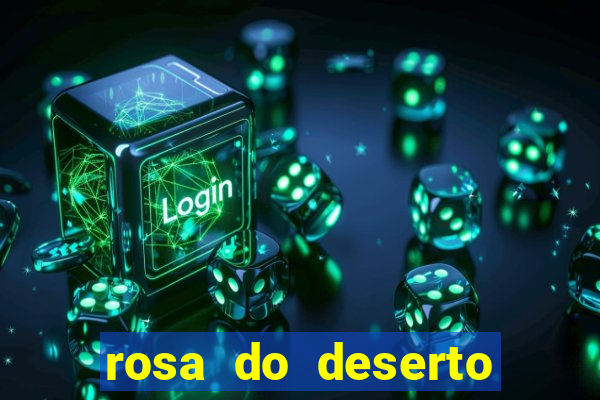 rosa do deserto lilac frost