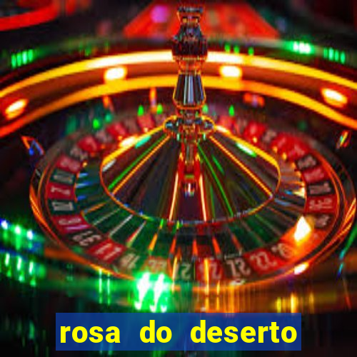 rosa do deserto lilac frost