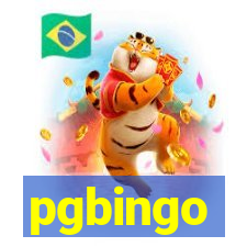 pgbingo
