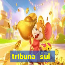 tribuna sul fluminense volta redonda