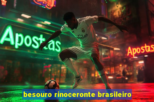 besouro rinoceronte brasileiro