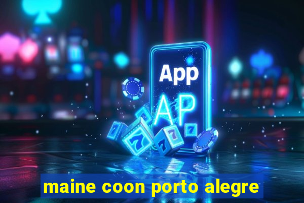 maine coon porto alegre