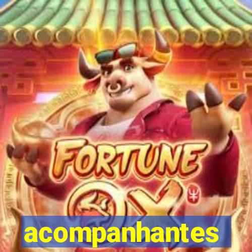 acompanhantes gordinhas santos