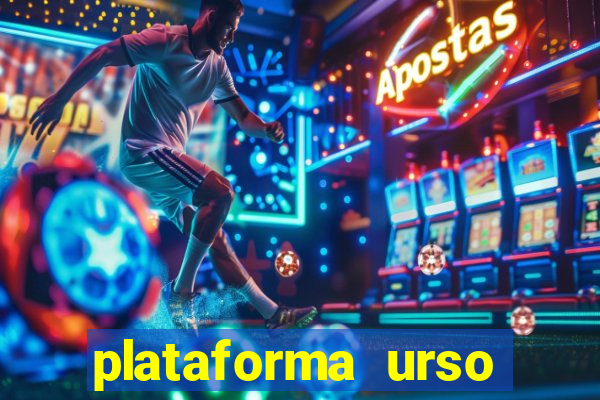 plataforma urso polar 777