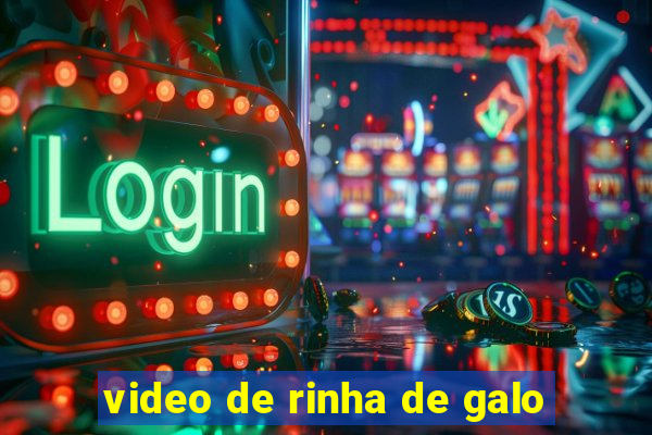 video de rinha de galo