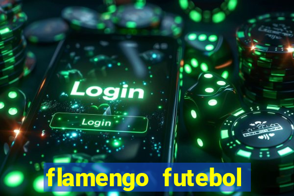 flamengo futebol play hd