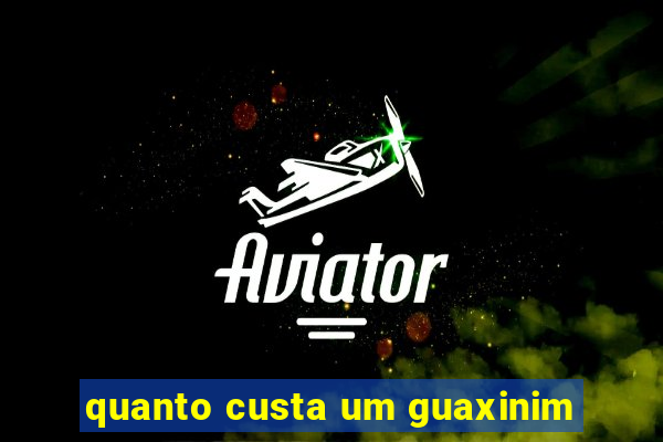 quanto custa um guaxinim