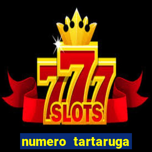numero tartaruga jogo do bicho