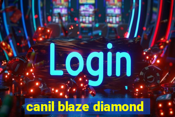 canil blaze diamond