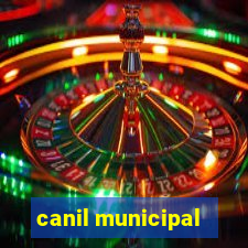 canil municipal