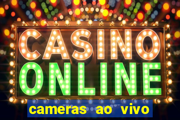 cameras ao vivo beto carrero
