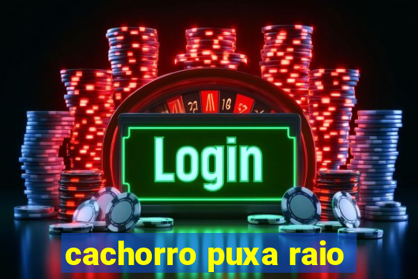cachorro puxa raio
