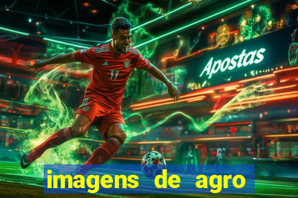 imagens de agro racoes guarani