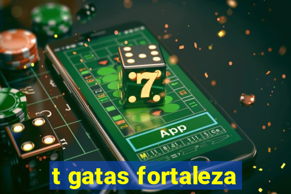 t gatas fortaleza