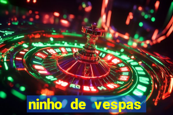 ninho de vespas significado espiritual
