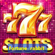 fortune rabbit melhor plataforma