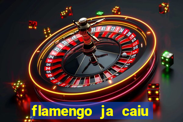 flamengo ja caiu para serie b