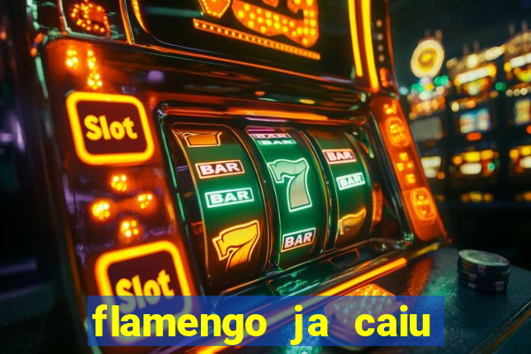 flamengo ja caiu para serie b