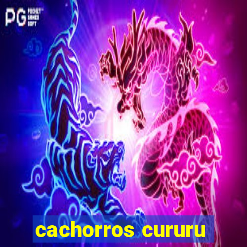 cachorros cururu