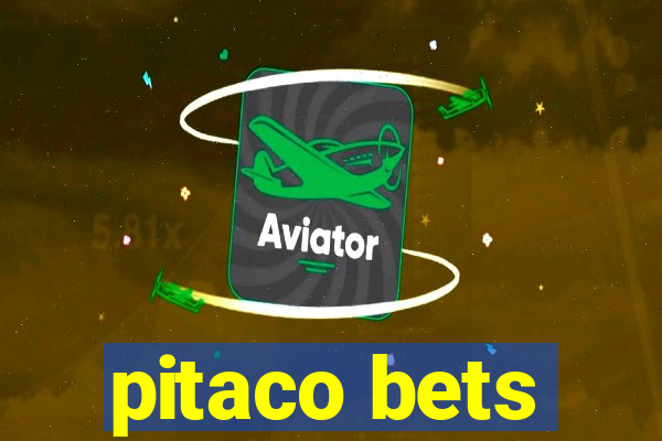 pitaco bets