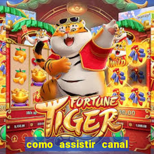 como assistir canal viva de graça