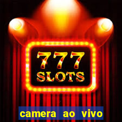 camera ao vivo porto rico