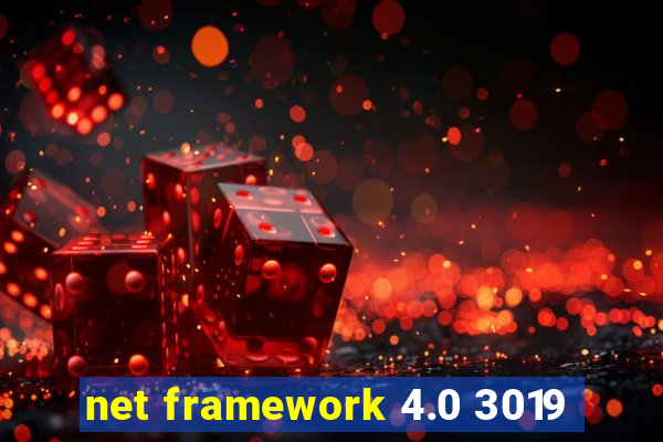 net framework 4.0 3019