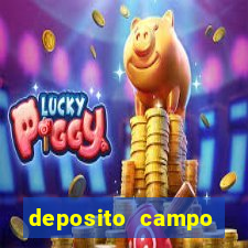 deposito campo grande santos