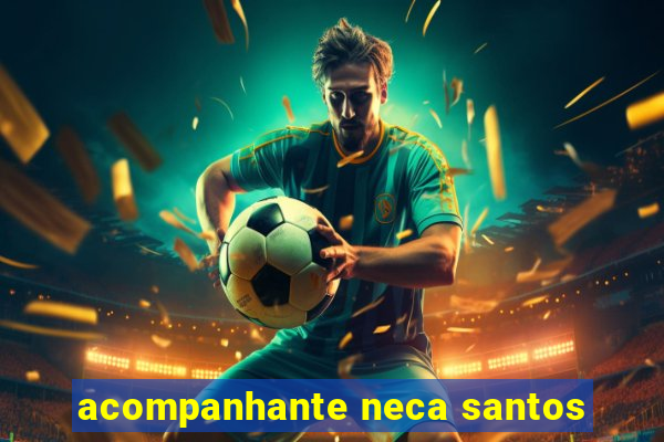 acompanhante neca santos