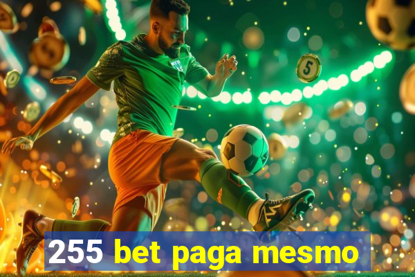 255 bet paga mesmo