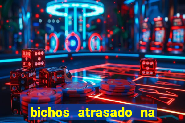 bichos atrasado na loteria dos sonhos