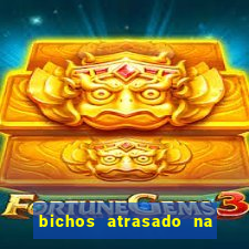 bichos atrasado na loteria dos sonhos